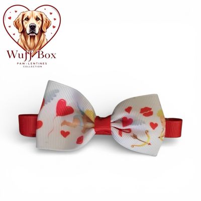 Valentines Theme Bow Necktie