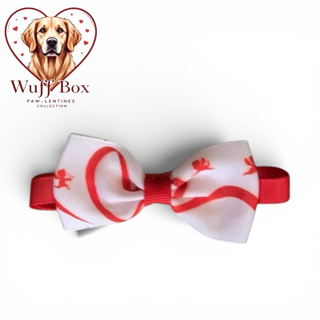 Valentines Theme Bow Necktie