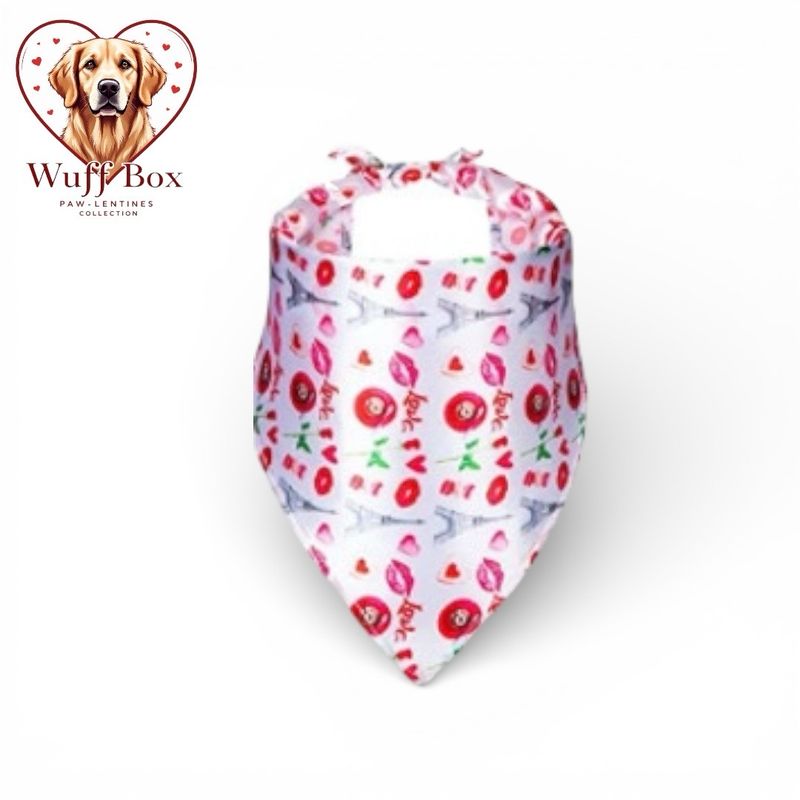 Valentines Theme Silk Scarf