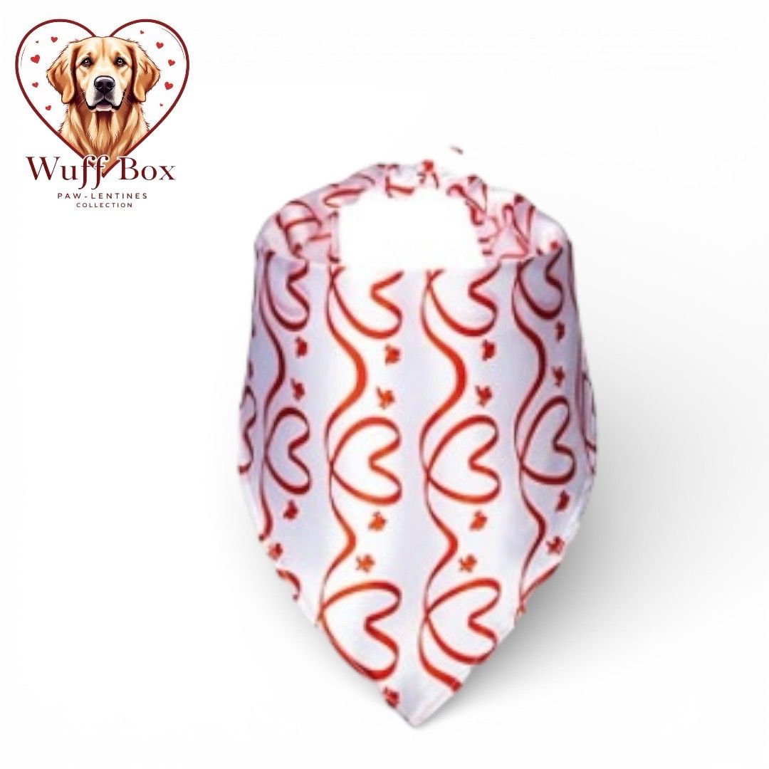 Valentines Theme Silk Scarf