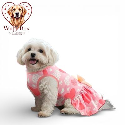 Pastel Pink Valentine Theme Dress