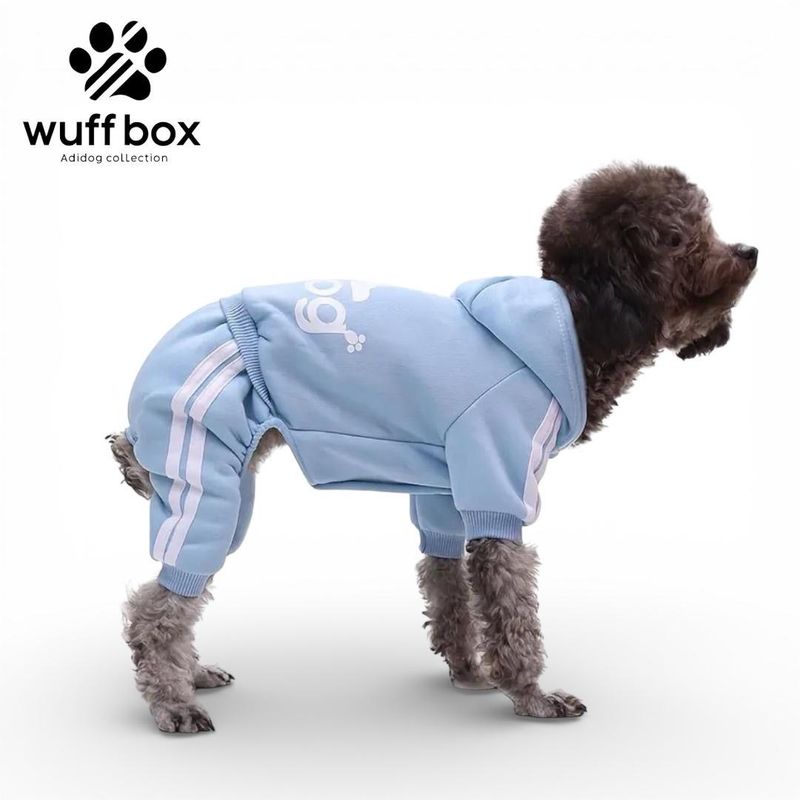 Adidog Baby Blue Jumper