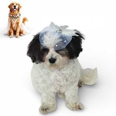 Mesh &amp; Feather Wedding Head Piece