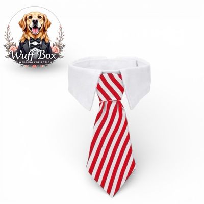  Red Pin Stripe Wedding Neck Tie