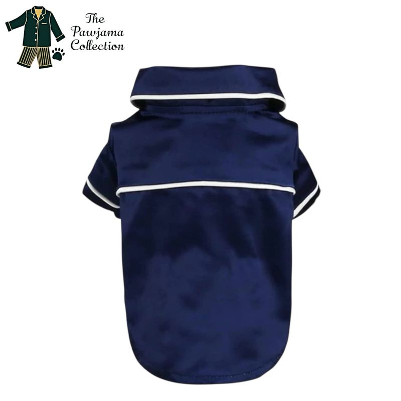 Blue Silk Pajama Shirt