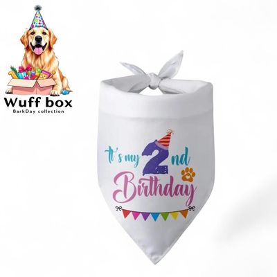 ‘My 2nd Barkday’ Confetti Bandana
