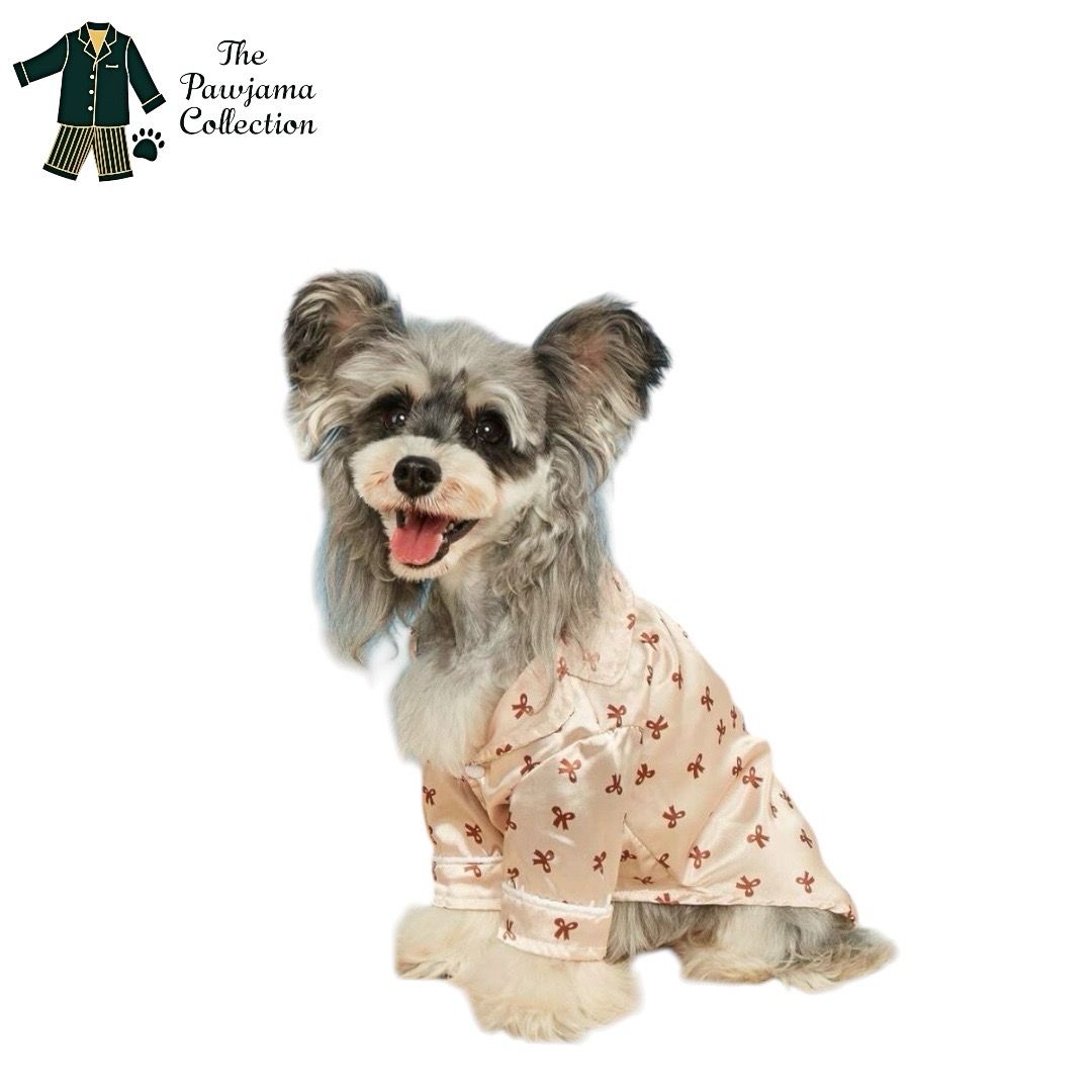 Silk Bow Print Pajamas (Medium - Large Breeds) 