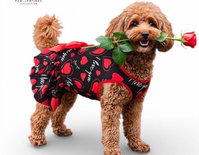 I Love You Heart Print Dress