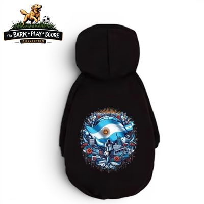 Argentina Soccer Theme Hoodie
