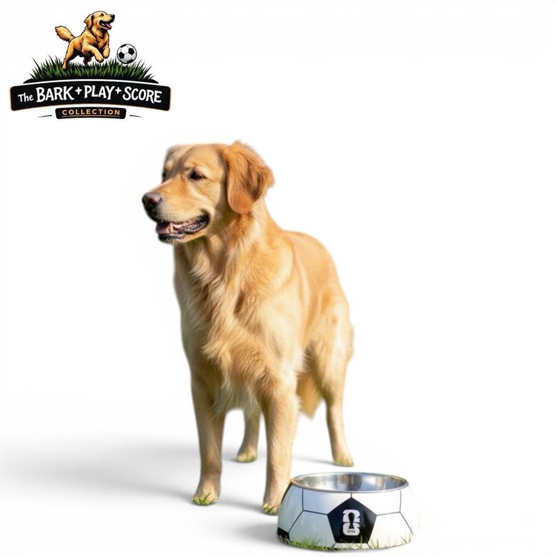 Official FIFA World Cup ‘26 Dog Bowl