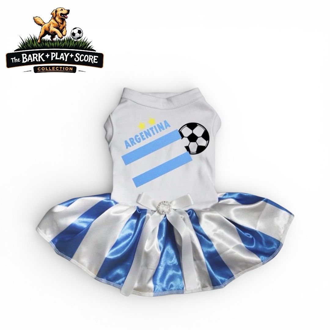 Petitebella Argentina Soccer Dress