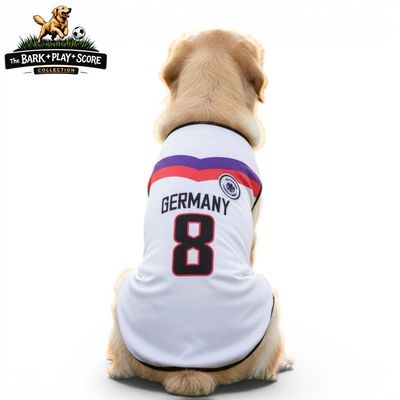 Germany World Cup Tank