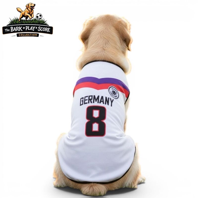 Germany World Cup Tank