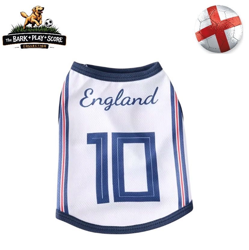 England No.10 Soccer Tank (Small - Large Breed Dogs)
