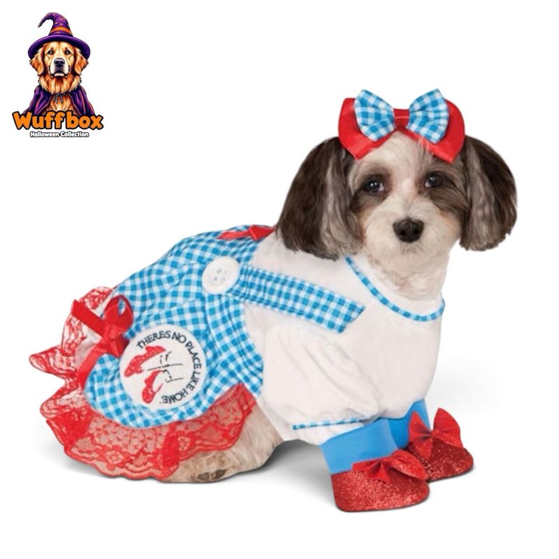 The Wizard of Oz (Dorothy) Costume