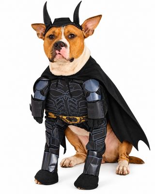 Batman Dark Knight Dog Costume