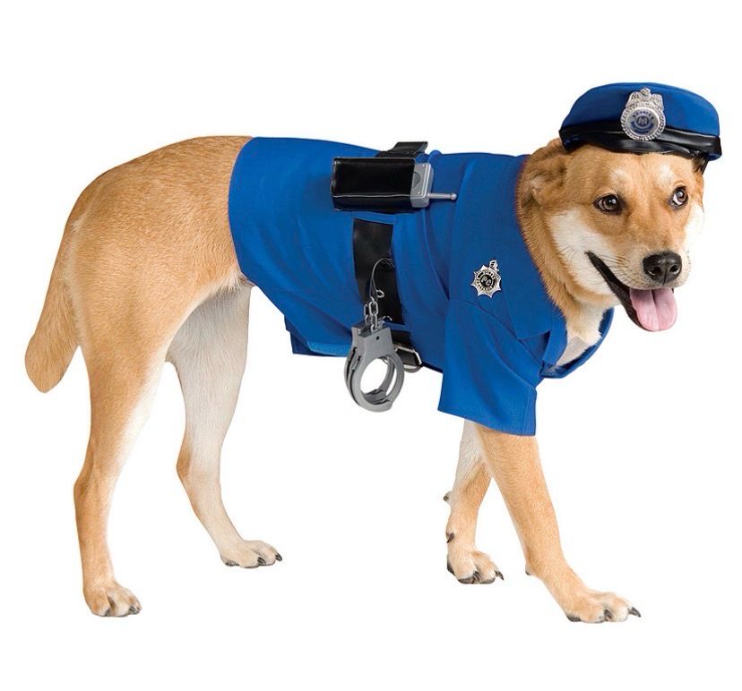 Police Halloween Costume 