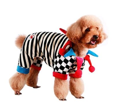 Stripe Clown Dog Costume
