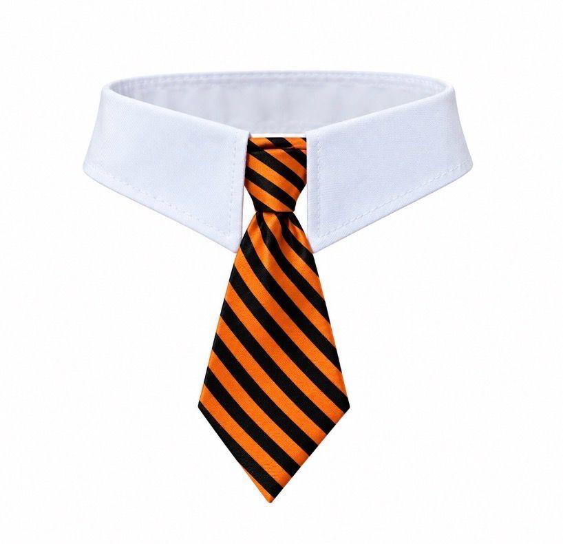 Halloween Theme Necktie