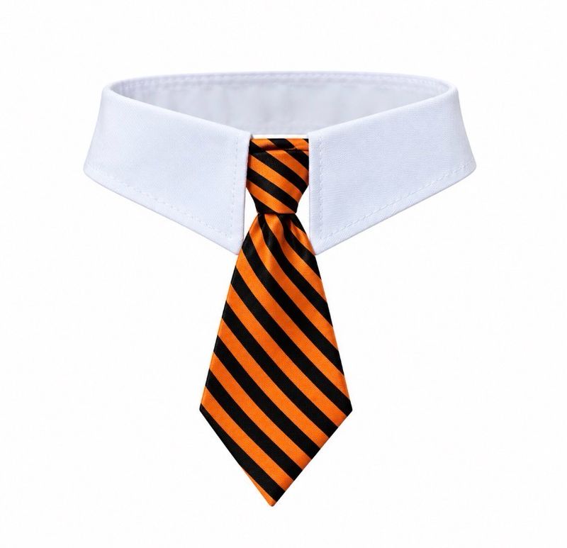 Halloween Theme Necktie