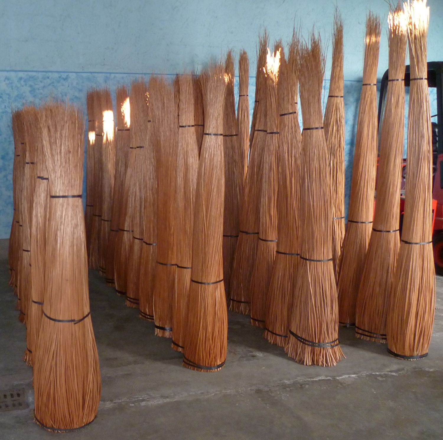 Salici scortecciati rossi extra fine cm 250, kg 2,5