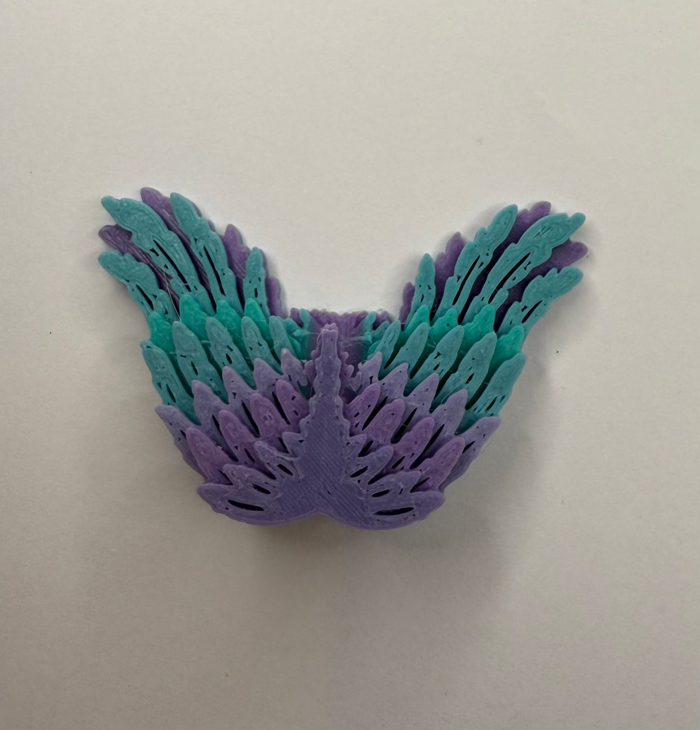 Wings