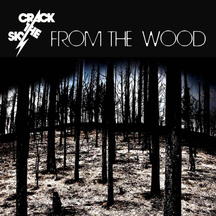 2023 - Crack The Sky - From The Wood album - CD