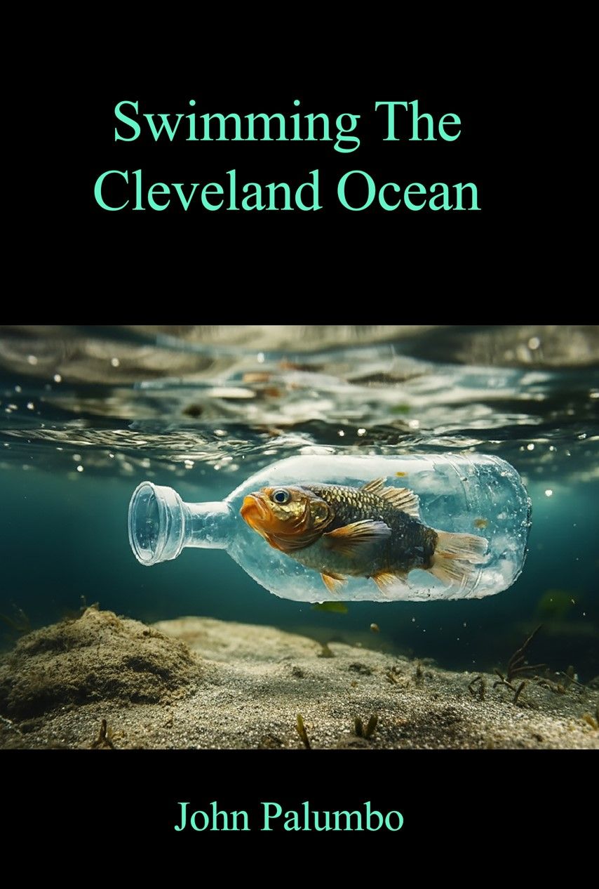 Swimming The Cleveland Ocean-Audio Book thumb drive