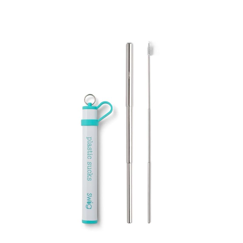 Telescopic Stainless Steel Straw Set