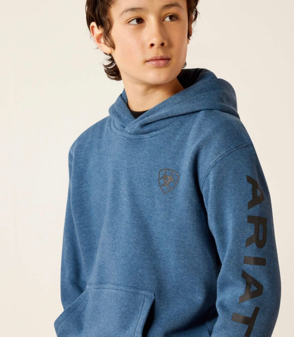 Ariat Boys Logo Hoodie, Color: Poseidon, Size: YXS