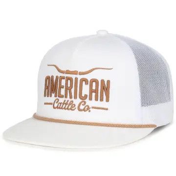 Longhorn Hat White/Gold