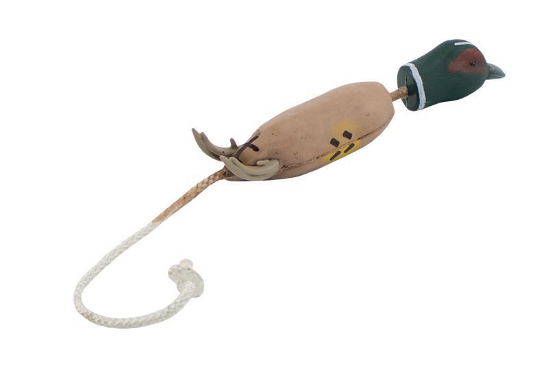 Dokken Puppy Pheasant Trainer