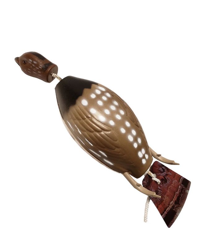 Dokken Ruffed Grouse Trainer