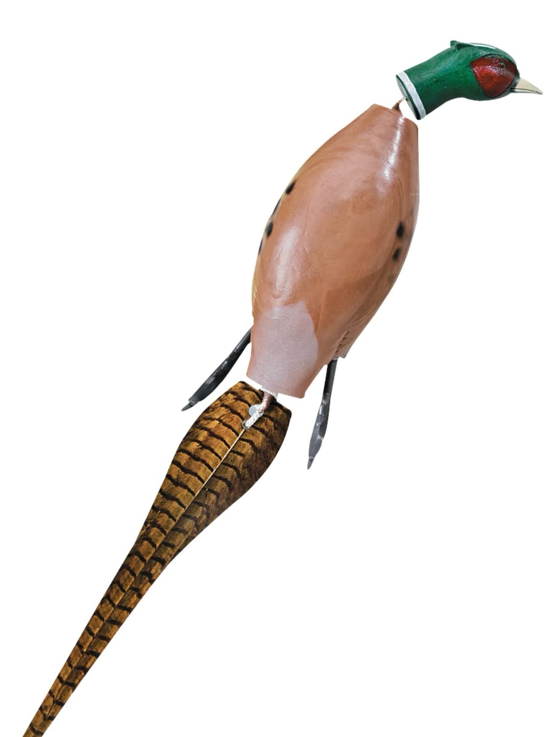 Dokken Pheasant Trainer