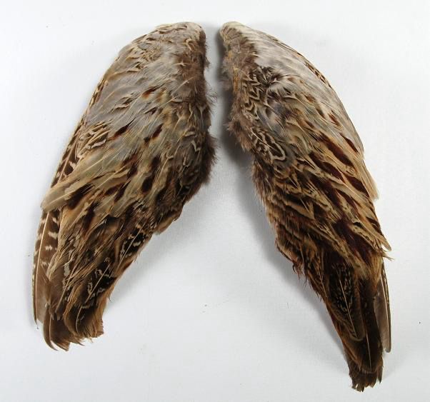 Pheasant Wing 2 Pack