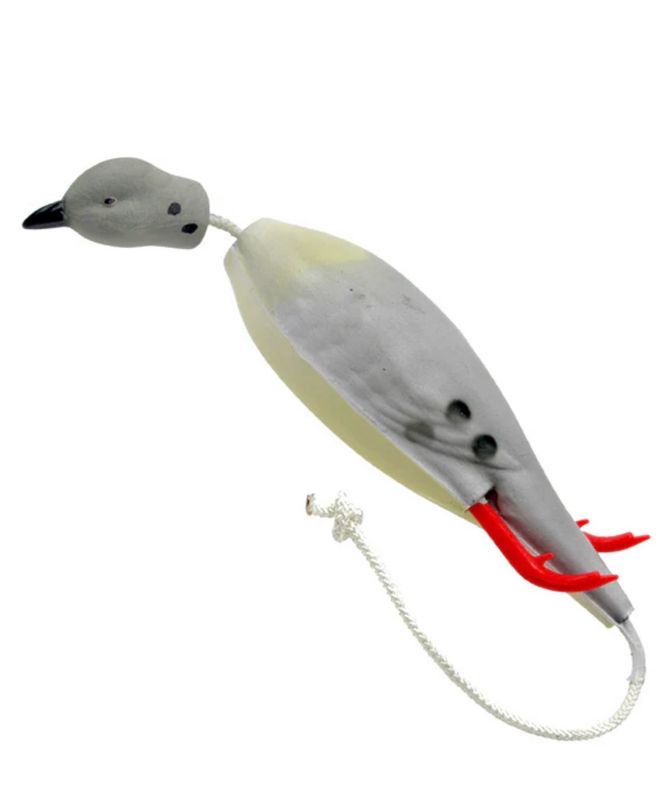 Dokkens Dove