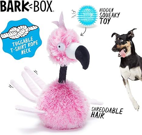 BARK Bert Of Paradise
