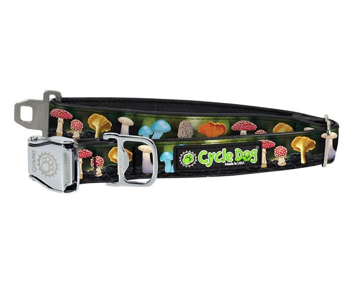Cycle Dog Collar