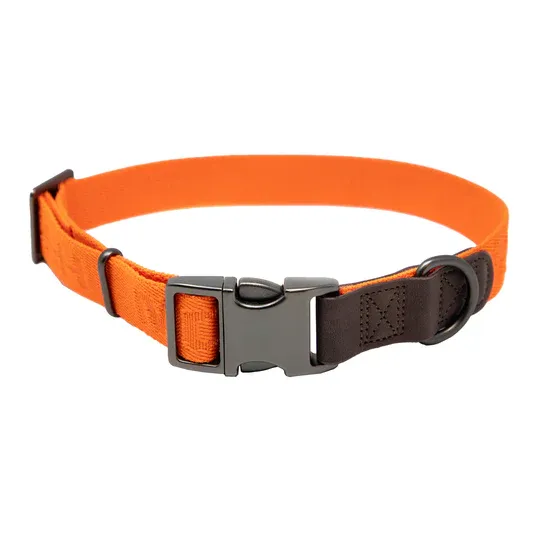 MoMarsh Adjustable Dog Collar