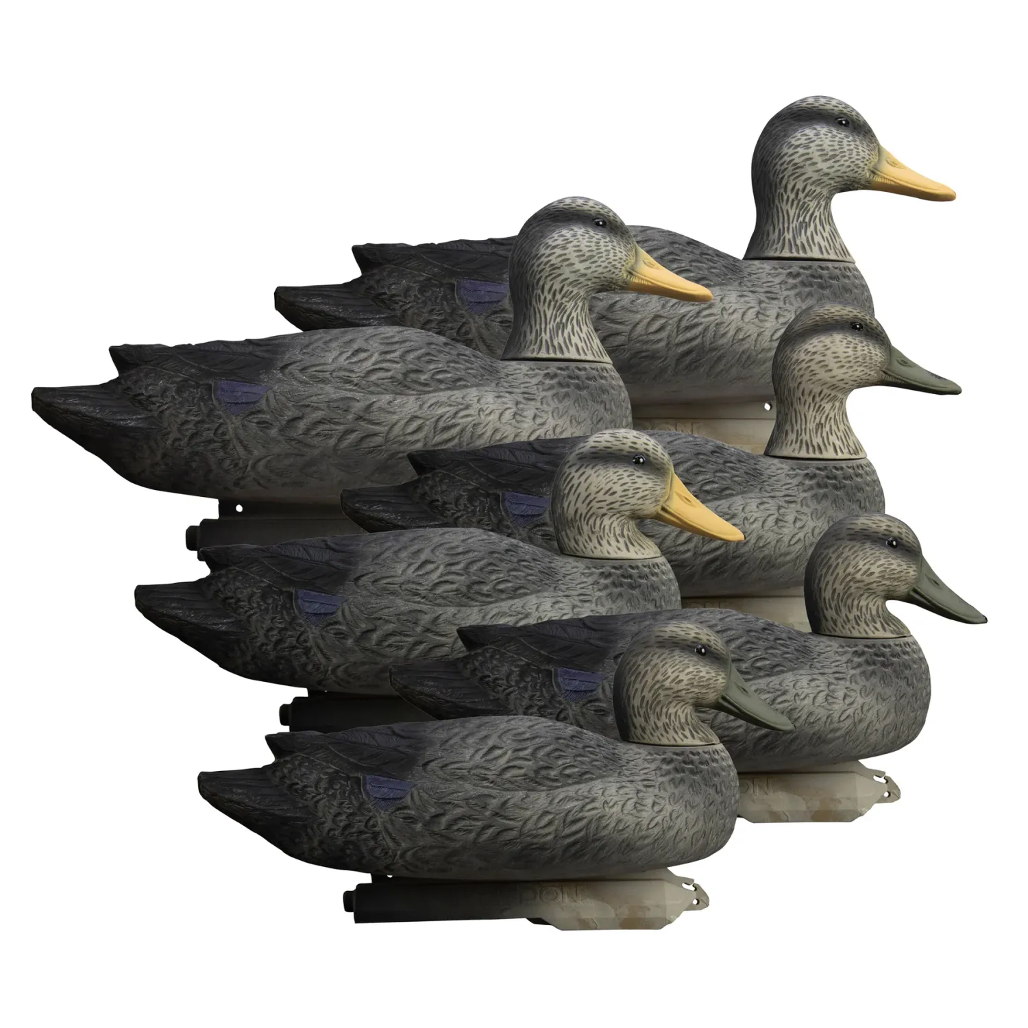 Higdon Battleship Black Duck
