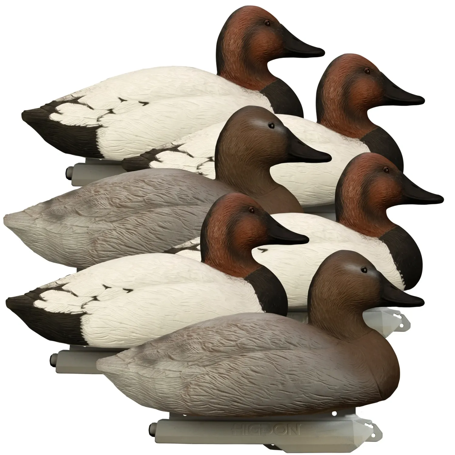 Higdon Battleship Canvasback