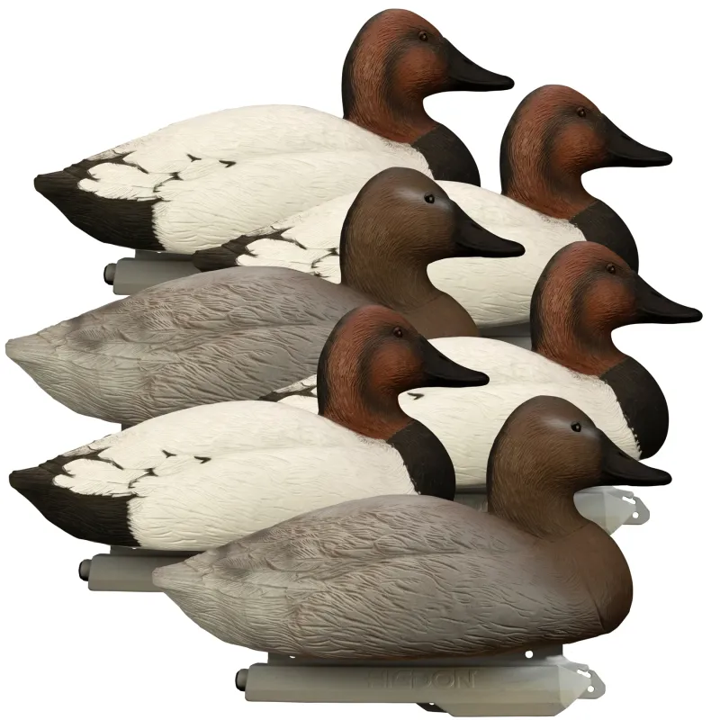 Higdon Battleship Canvasback