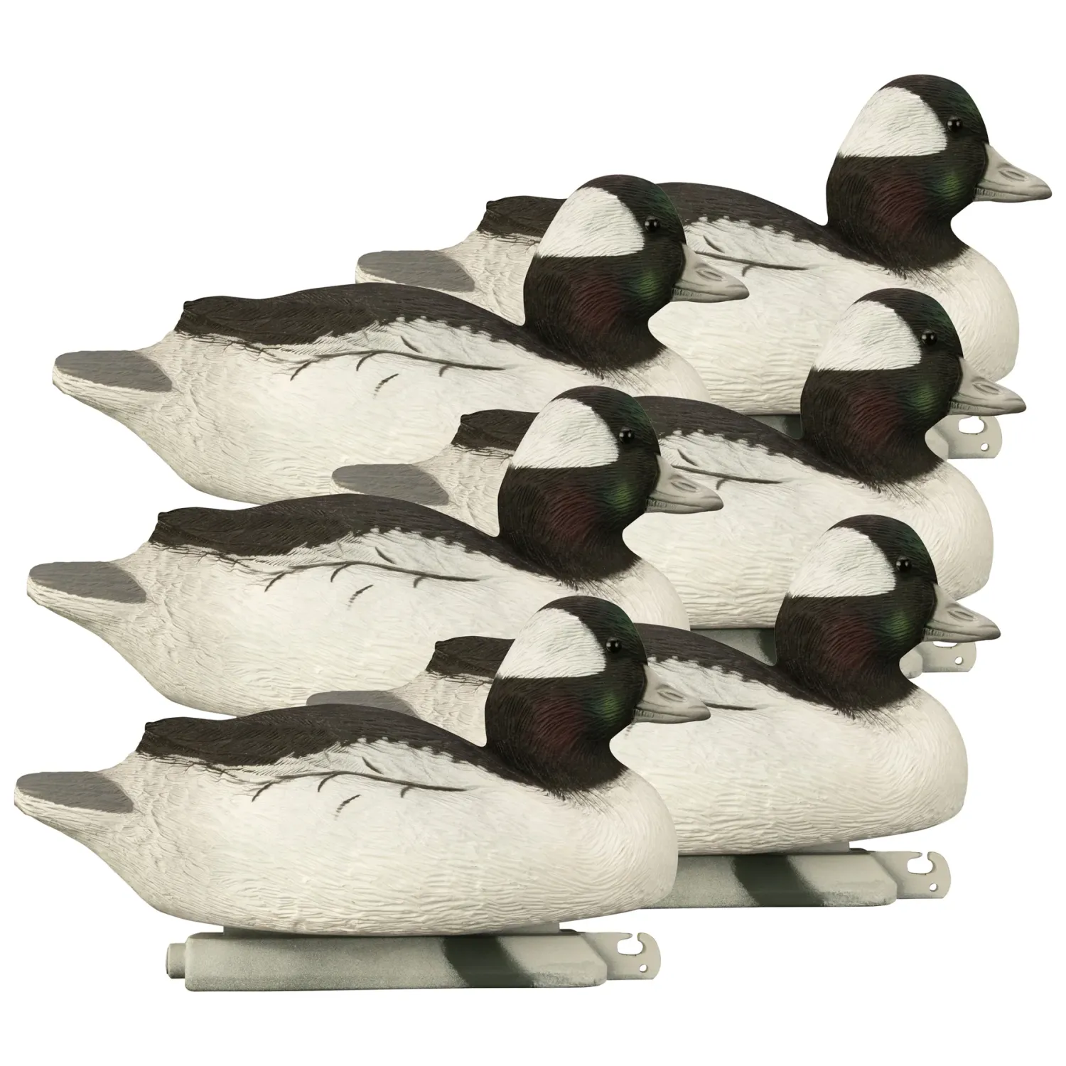 Higdon Battleship Bufflehead