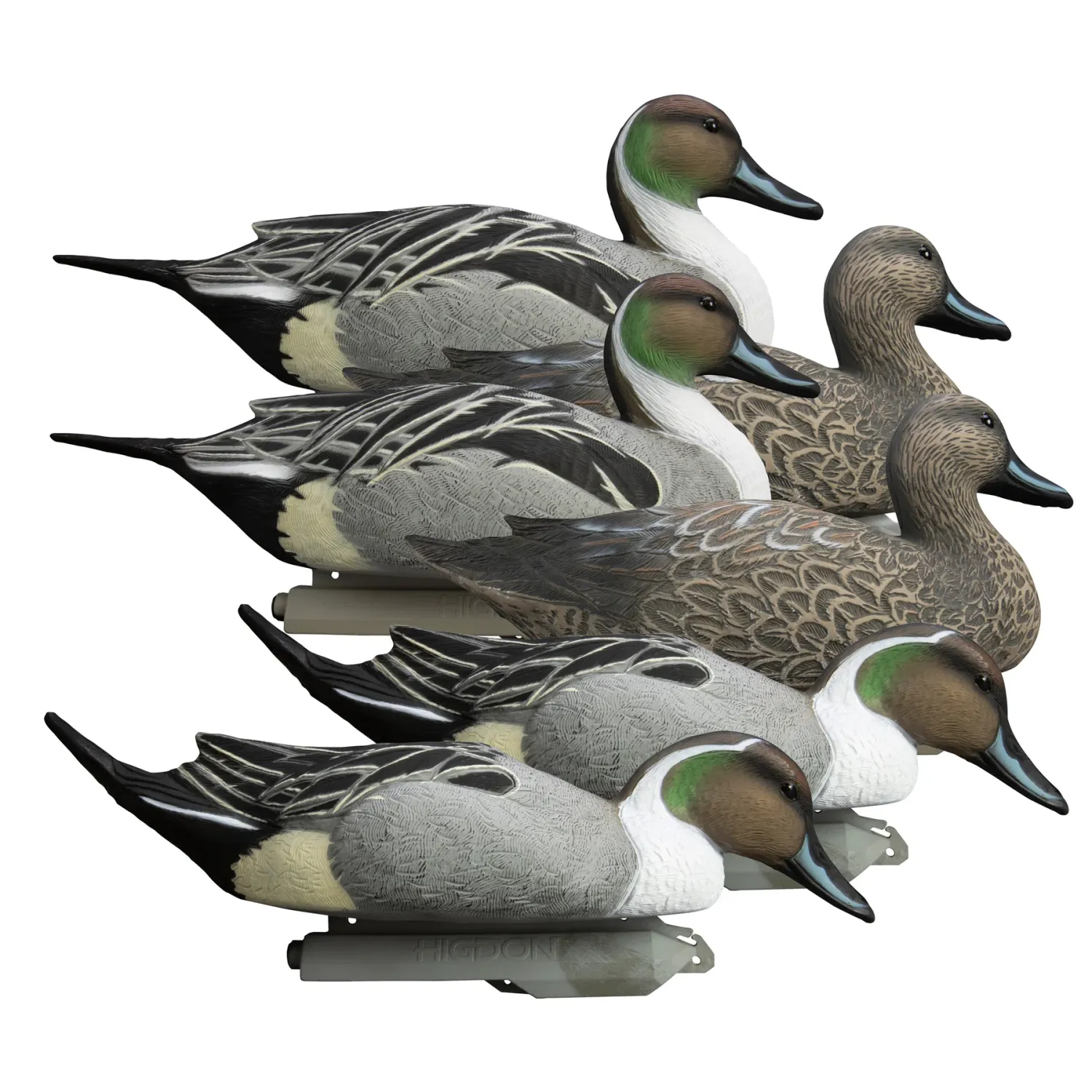 Higdon Battleship Pintail
