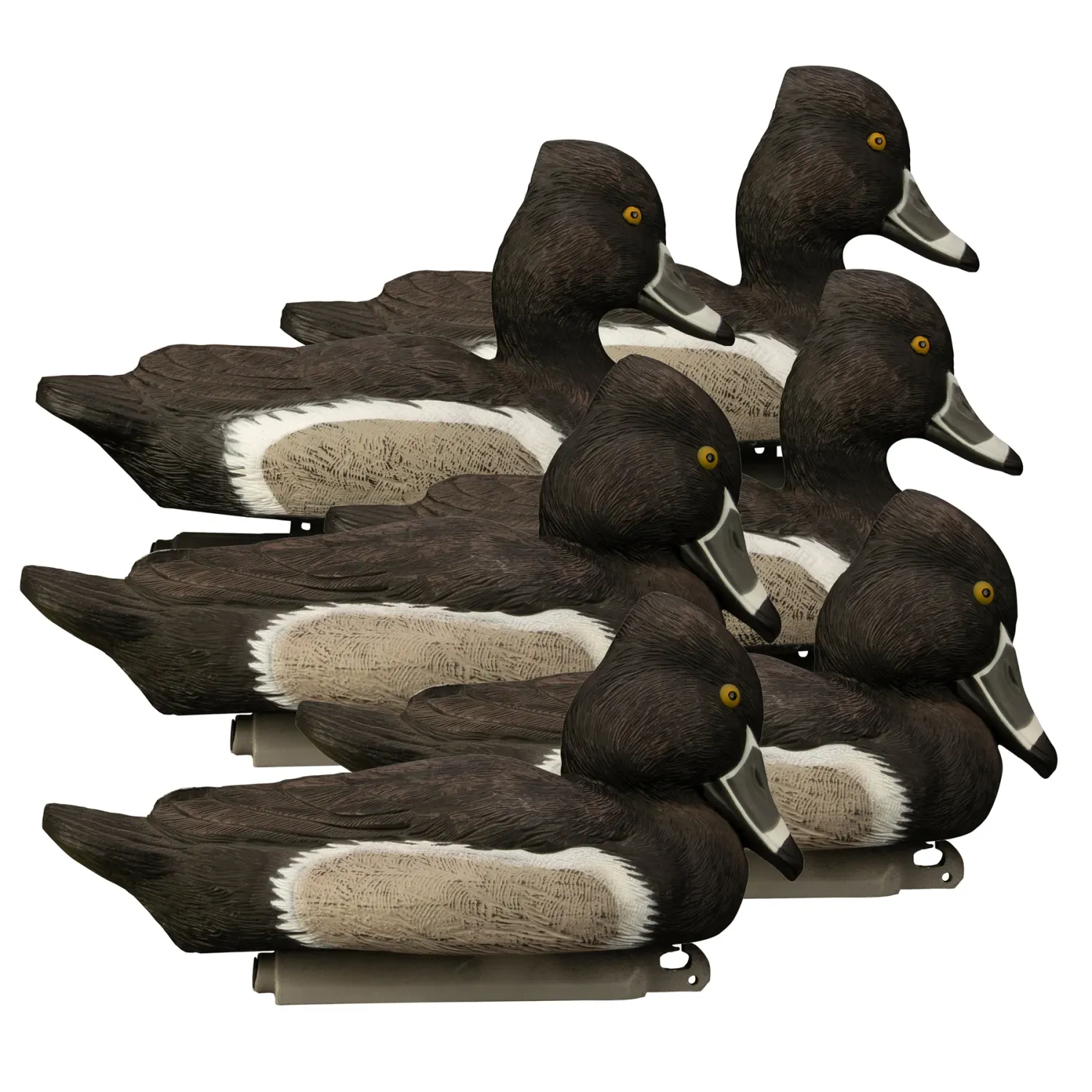Higdon Battleship Ringneck-All Drakes
