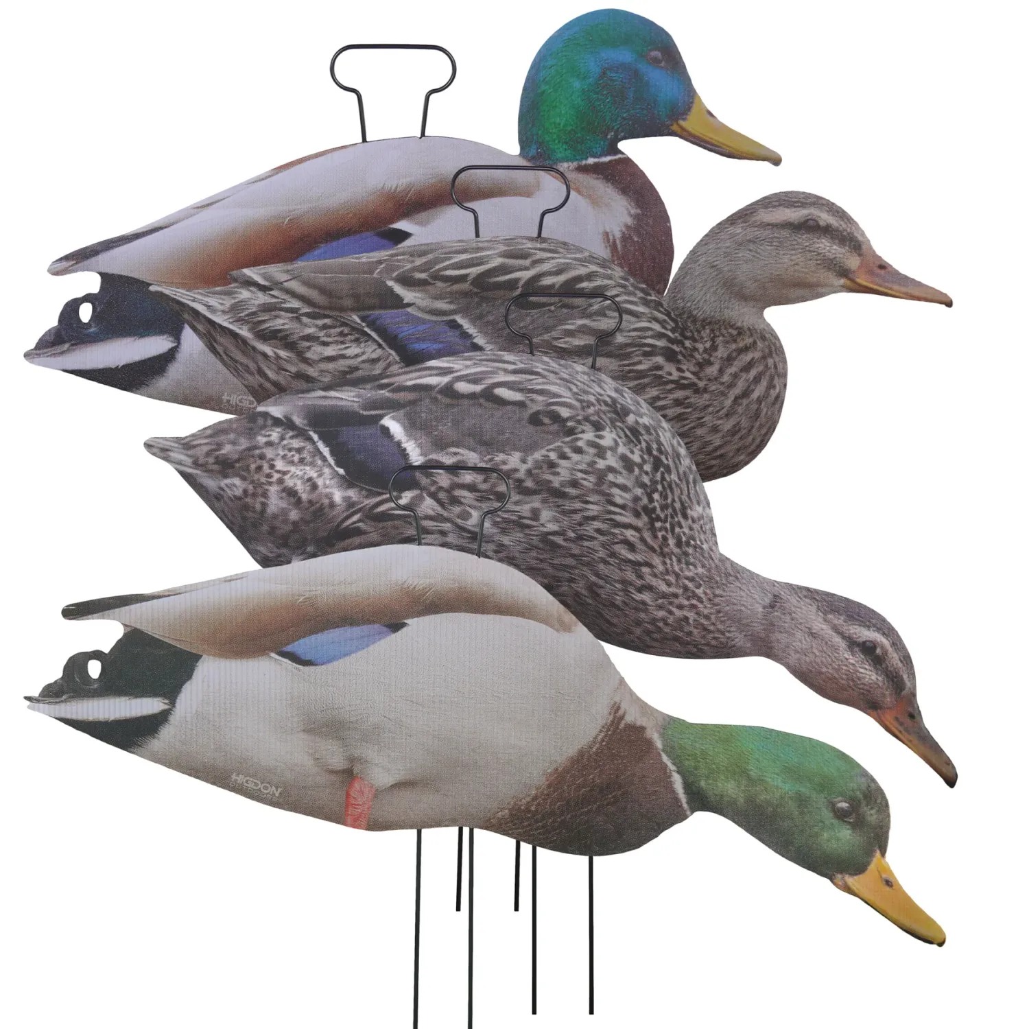 Higdon FLATS Mallard Duck Silhouette