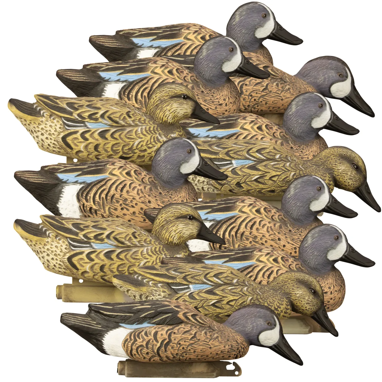 Higdon Standard Blue Wing Teal