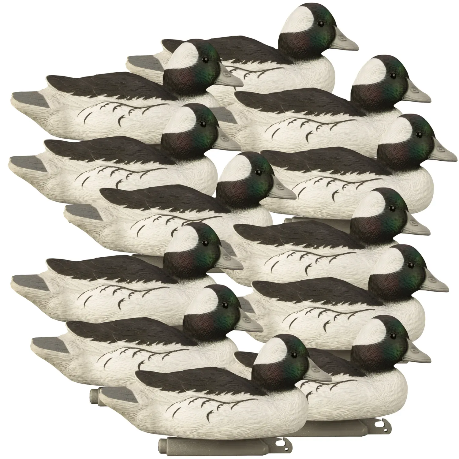 Higdon Standard Bufflehead