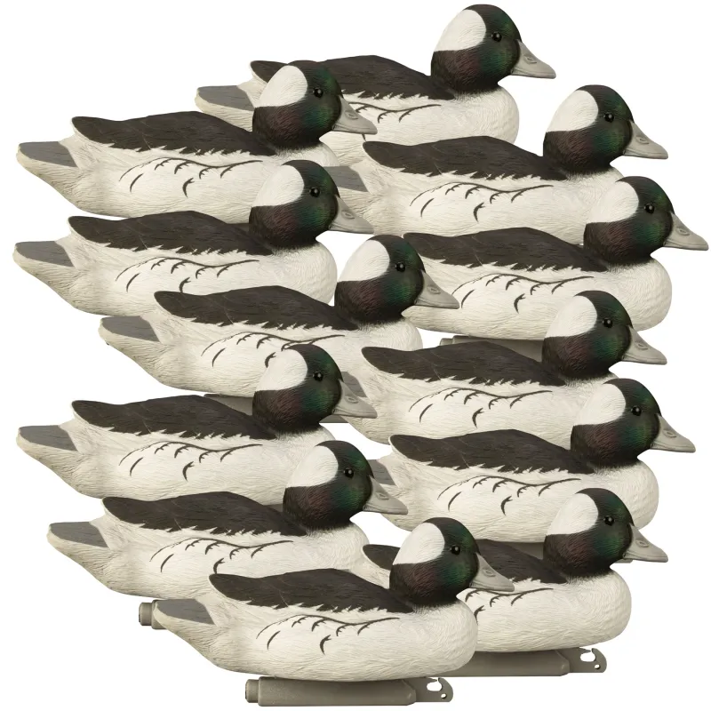 Higdon Standard Bufflehead