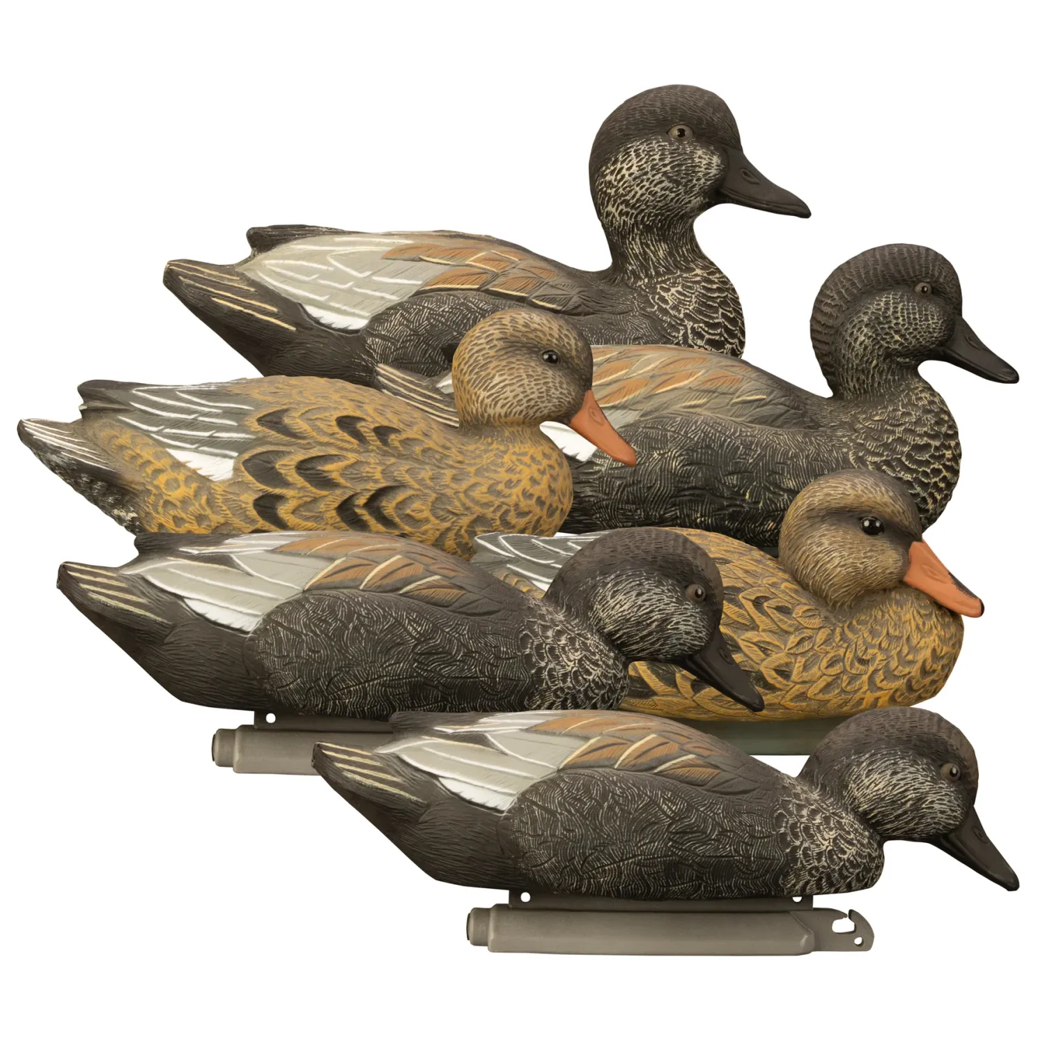 Higdon Standard Gadwall
